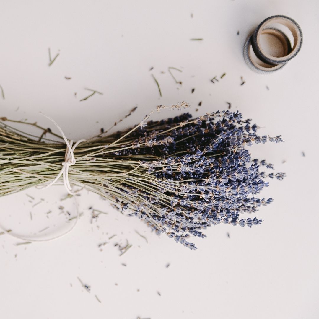 LAVANDA Y BLANCO