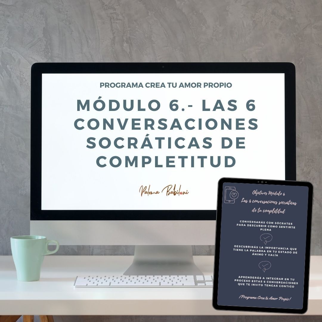 modulo 6 ordenador y tablet